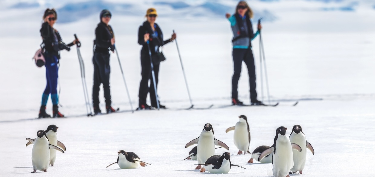 Expedition Cruises to Antarctica: Journey to the Last Great Wilderness